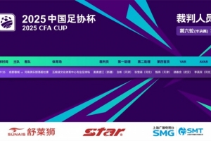 今日足协杯蓉城vs河南裁判:麦麦提江执法,顾春含担任VAR